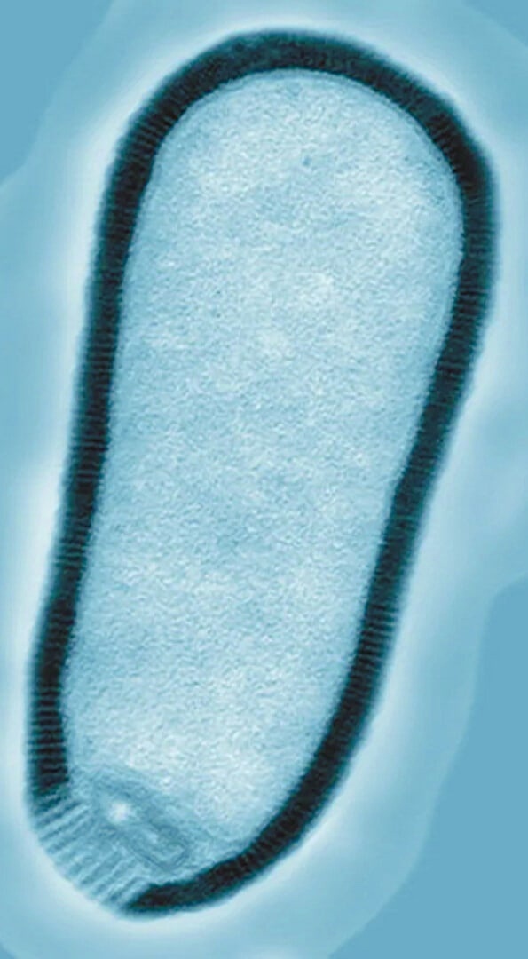رستاخیز