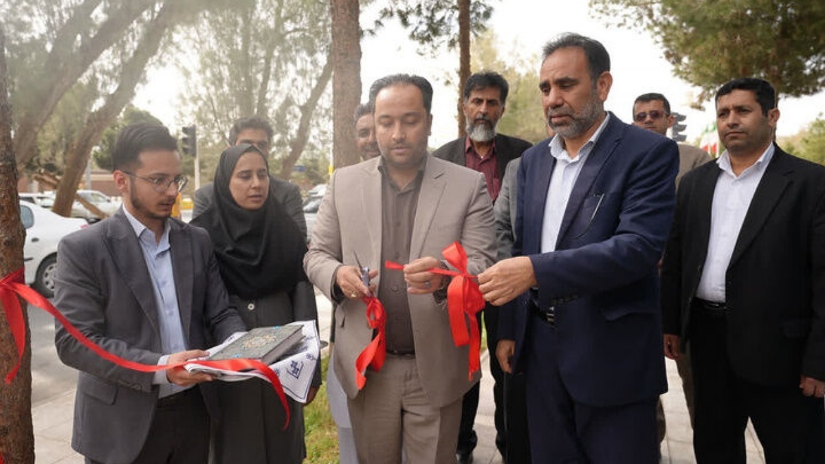 رهاسازی لاک پشت سبز در معرض خطر انقراض جهانی در چابهار
