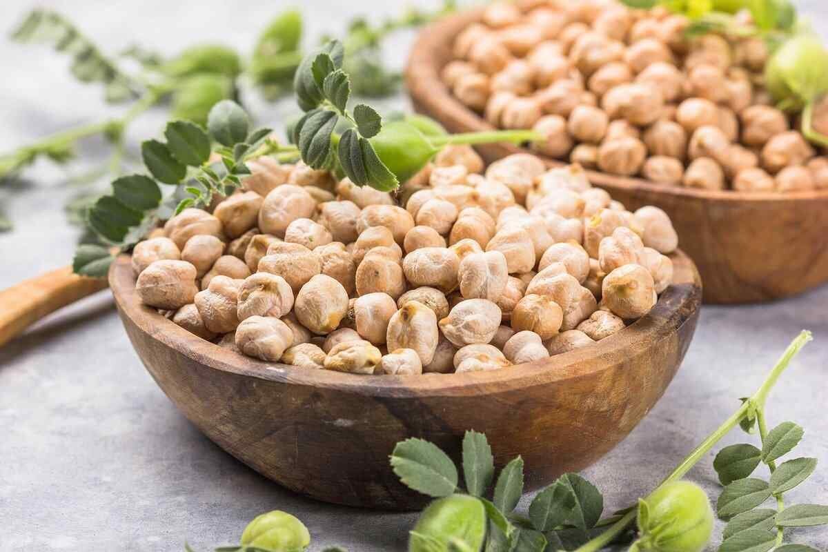 شناسایی ژن‌های بیماری‌زای قارچ در نخود!