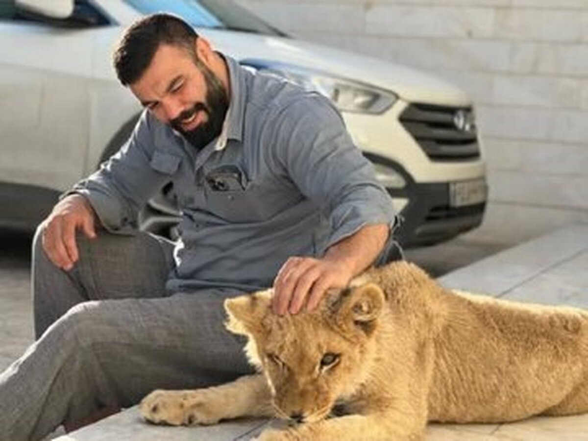 تحویل لئو توله شیر متعلق به امیر علی‌اکبری فایتر کشورمان به محیط زیست