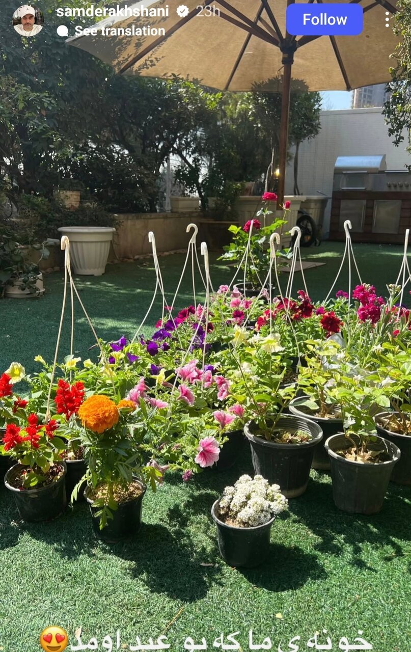 رونمایی سام درخشانی از تزئینات خانه باغ با صفایش قبل از عید