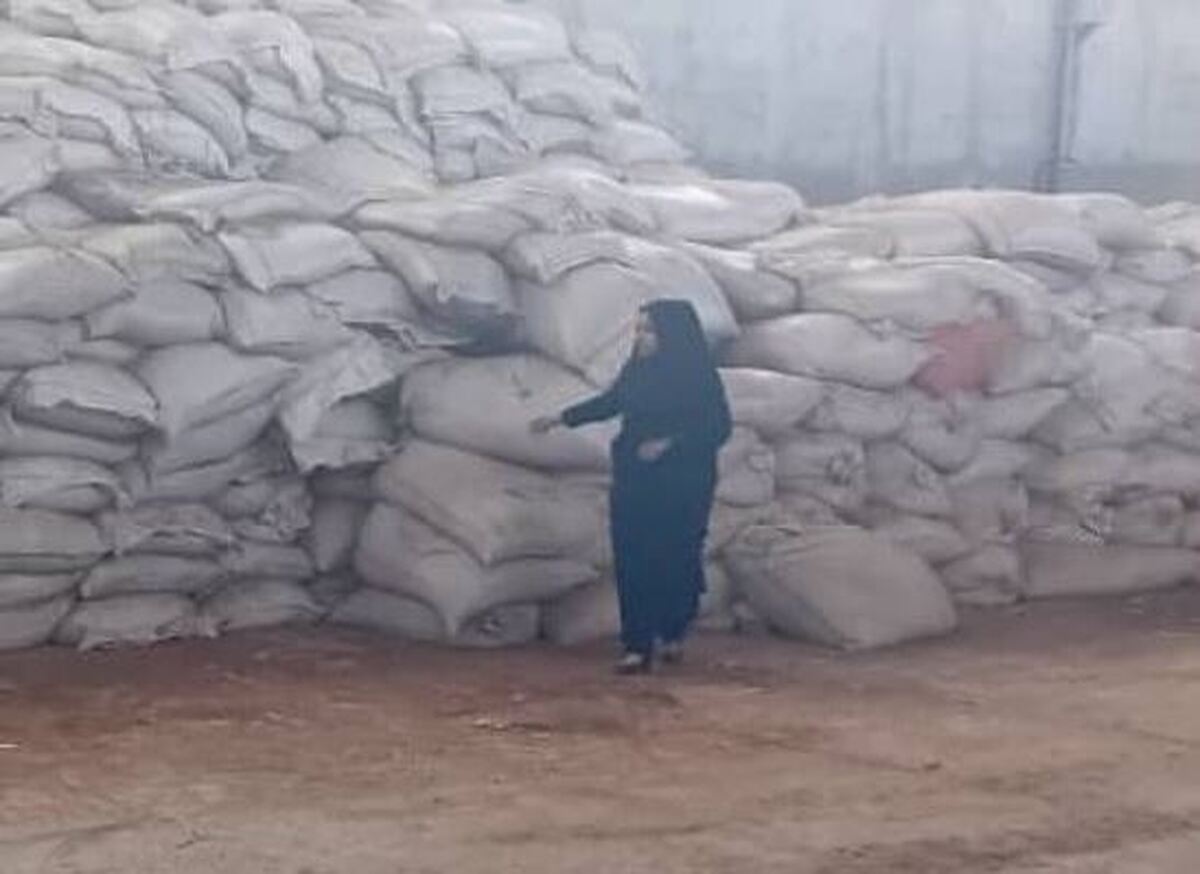 کشف بیش از ۳۰ تن مواد دخانی فاسد و غیرمجاز در راسک