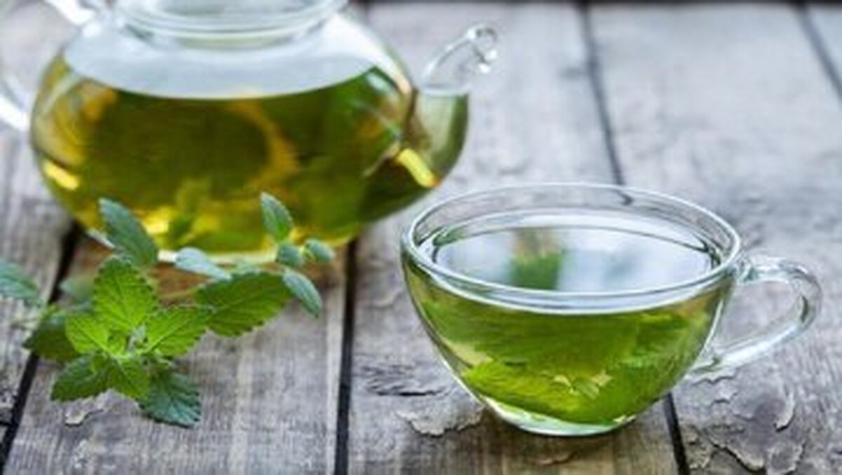 تمامی درد‌های معده و مشکلات گواشی را با پونه کوهی درمان کنید