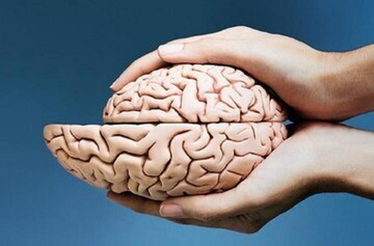 استرس به وجود آمده در دوران کودکی با پیری زود هنگام مغز مرتبط است