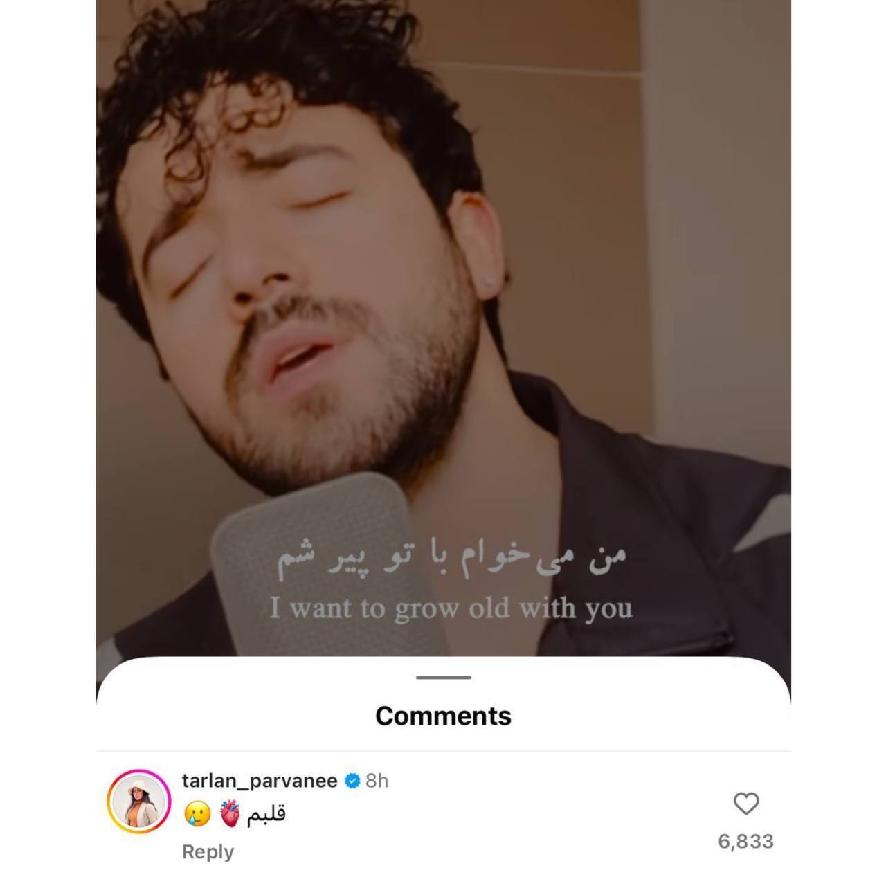 ترلان پروانه با کامنت عاشقانه برای شروین حاجی پور خودش رو لو داد+عکس