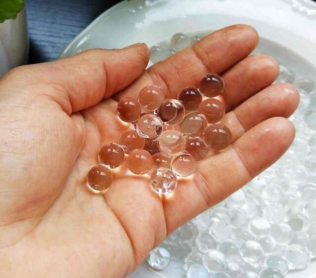 با کاشت سبزه عید در خاک ژله‌ای ظاهری زیبا به سفره هفت سین خود ببخشید!