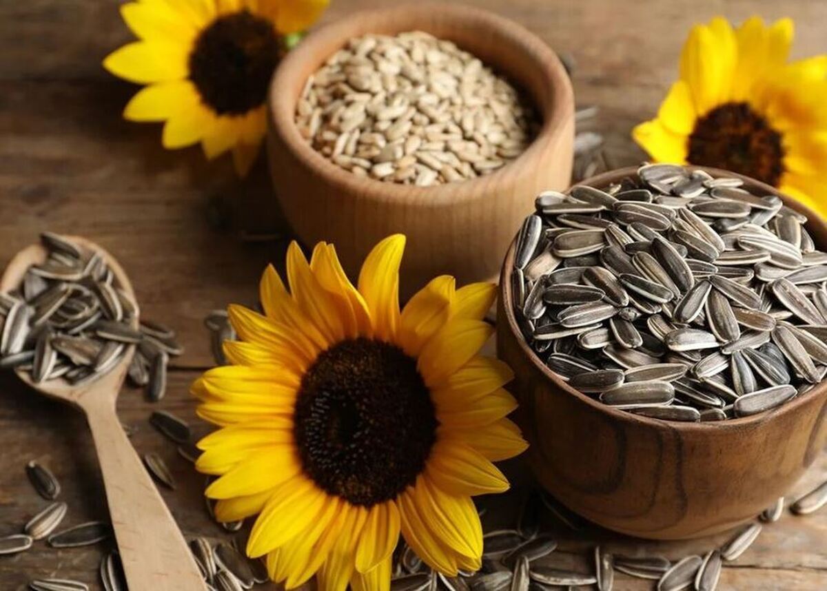 چه افرادی نباید تخمه آفتاب گردان مصرف کنند؟