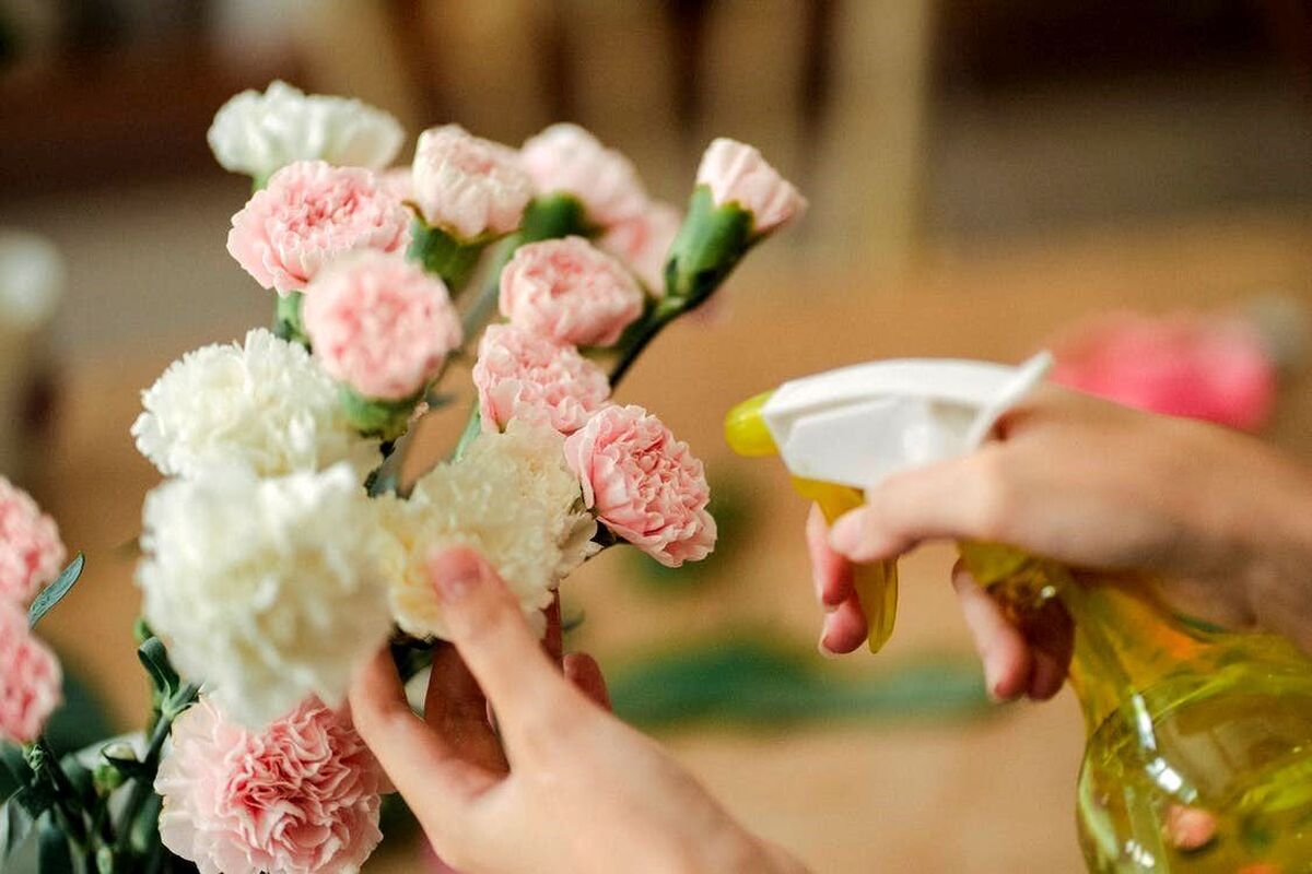 چگونه گل‌های مصنوعی رو بدون آسیب زدن تمیز کنیم؟