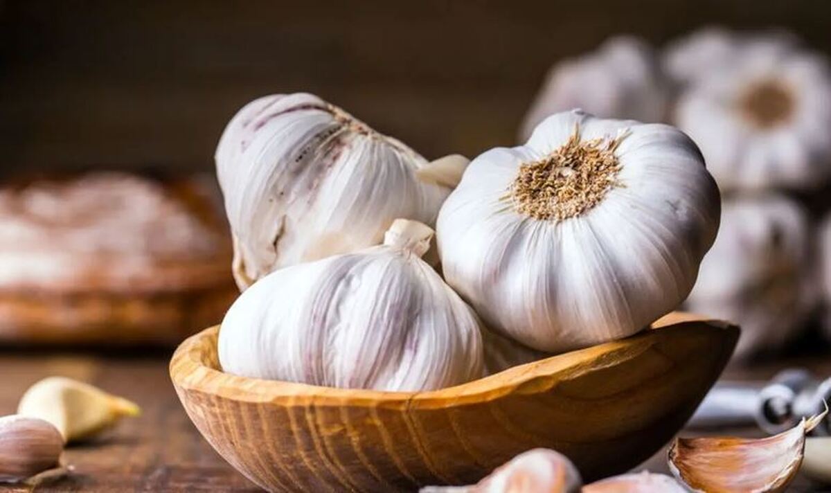 سیر خام را اینگونه بخورید ضرر کرده‌اید!