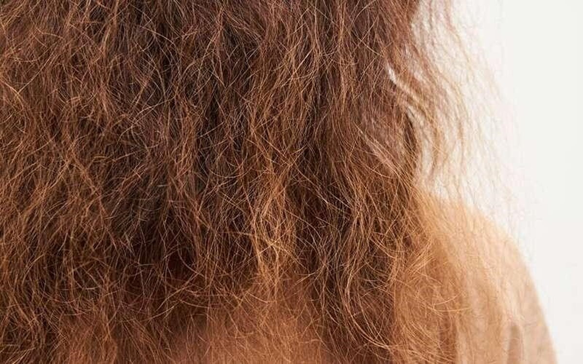 چگونه با برطرف کردن وزی، به مو‌ها زیبایی و لطافت ببخشیم؟!