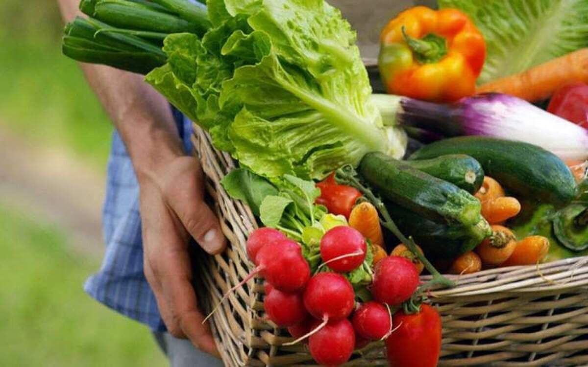 رژیم غذایی سالم طول عمر شما را زیاد میکند!
