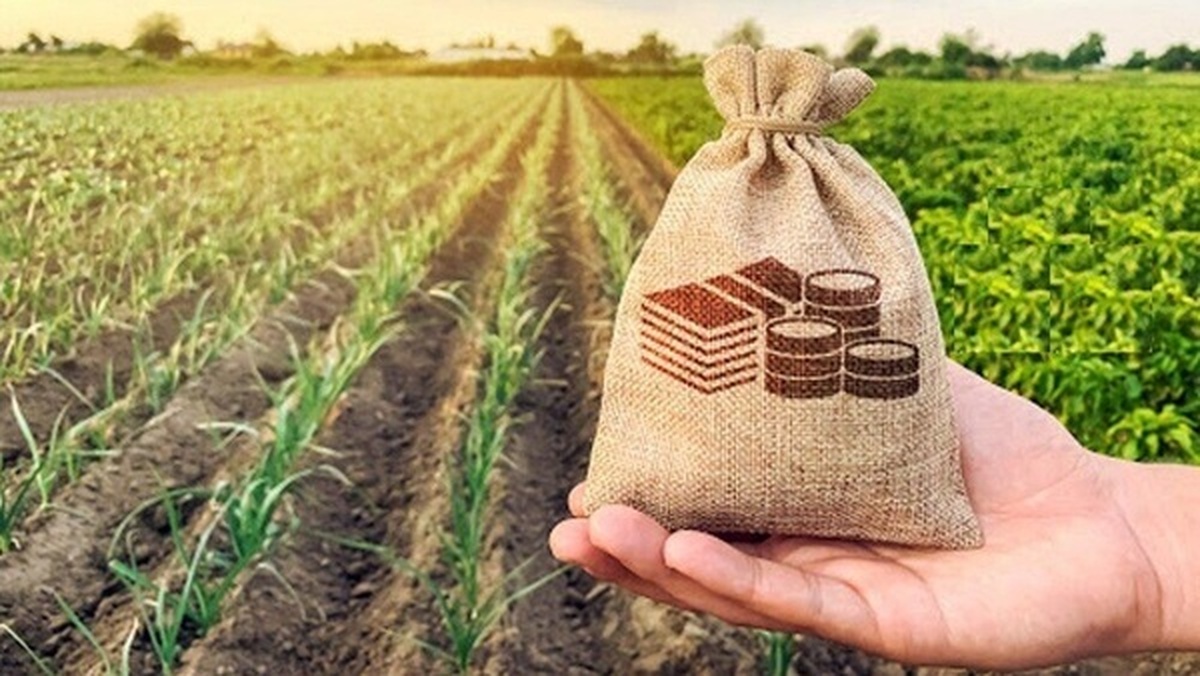خبر خوش معاون رئیس‌جمهور در حوزه اشتغال اهالی روستا