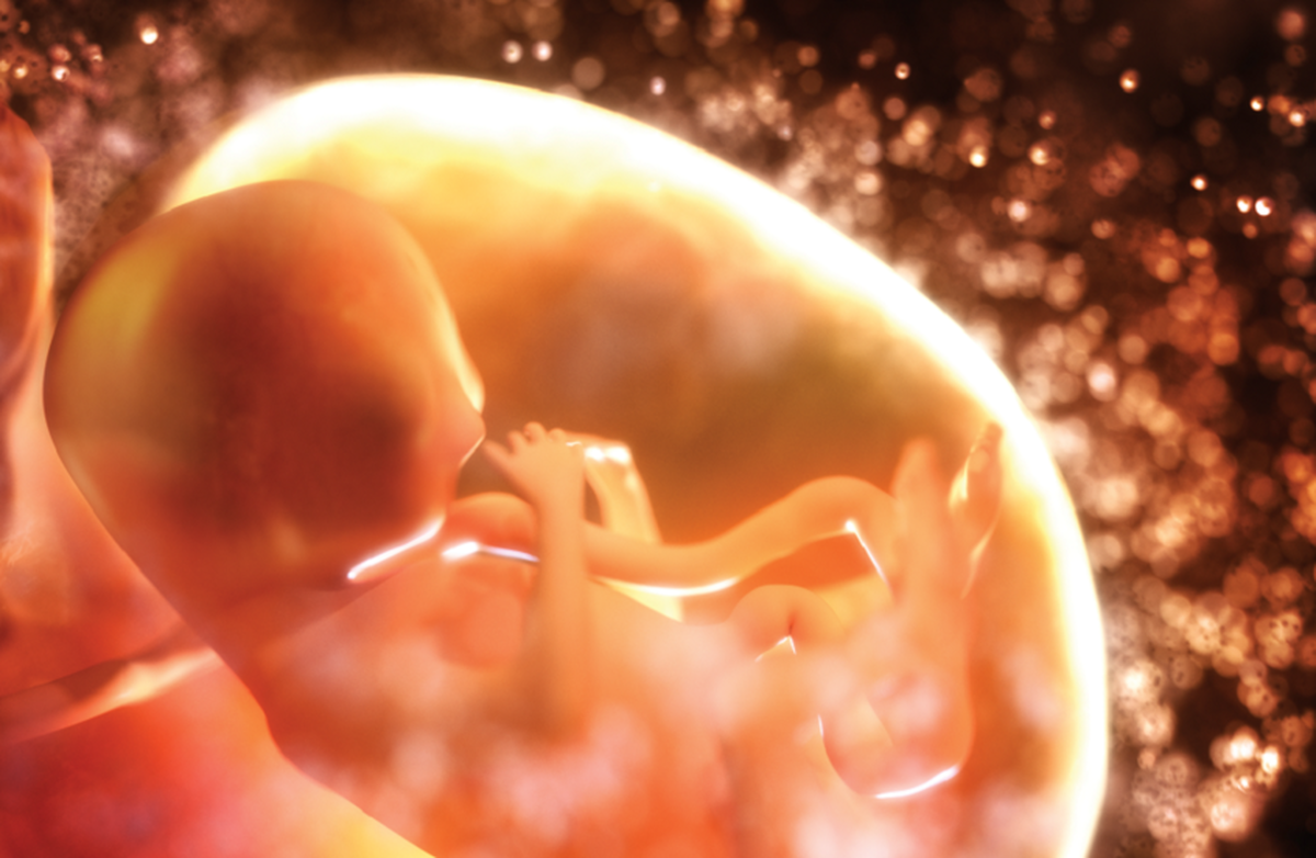 دستاورد پزشکی| جنین قبل از تولد از یک بیماری کشنده نجات داده شد!