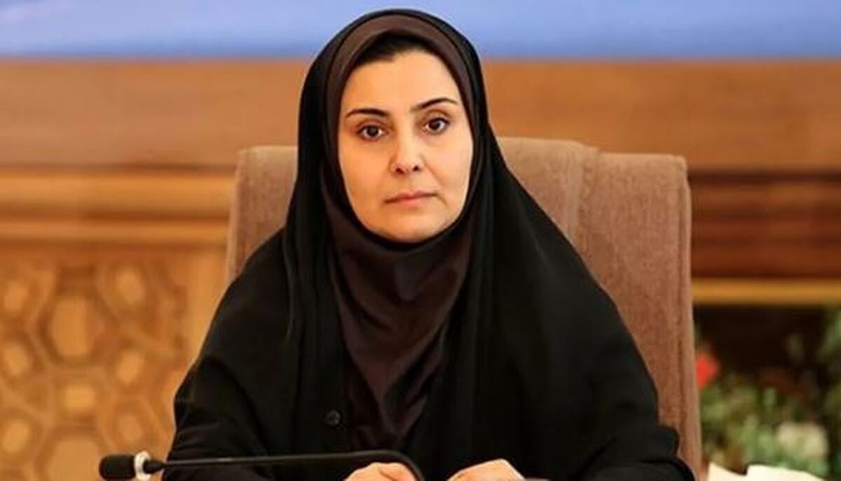 خدمات گیرندگان هواشناسی می‌توانند منابع تجهیزات و مطالعات جوی را تامین کنند