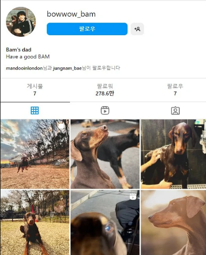 پیج سگ جونگ کوک از «BTS» یک روز ۳ میلیون فالوور جذب کرد