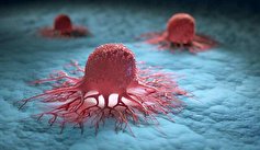ایمنی درمانی چگونه با سرطان مبارزه میکند؟