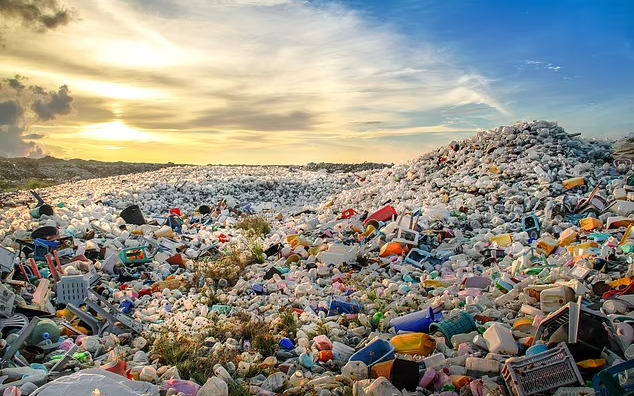 آمار سرسام آور تولید زباله در جهان؛ ۲۸ کیلوگرم به ازای هر نفر