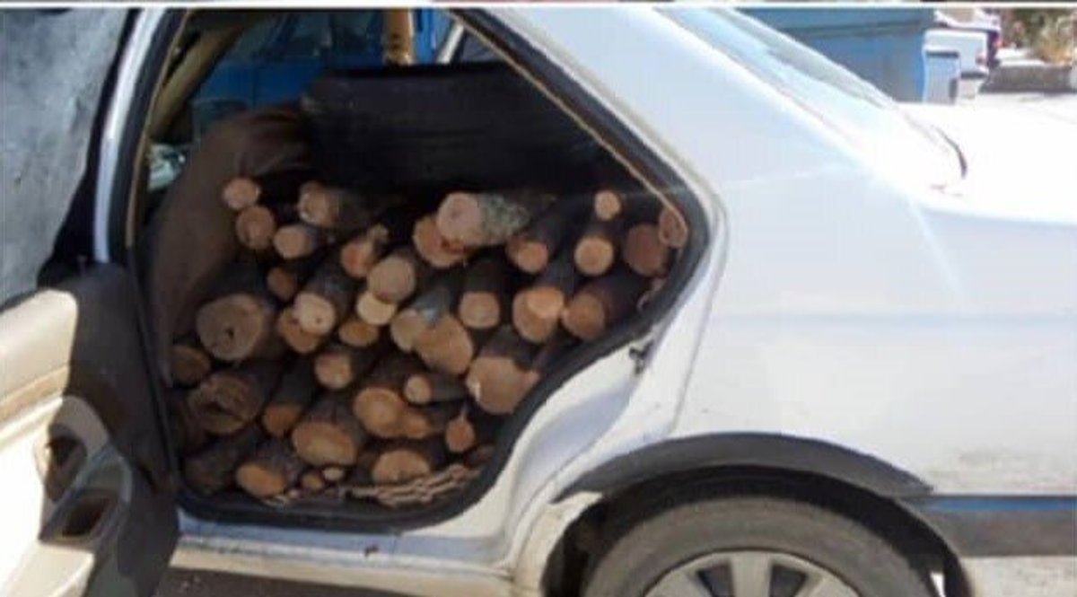 کشف چوب‌های قاچاق تاغ از یک سمند در سمنان