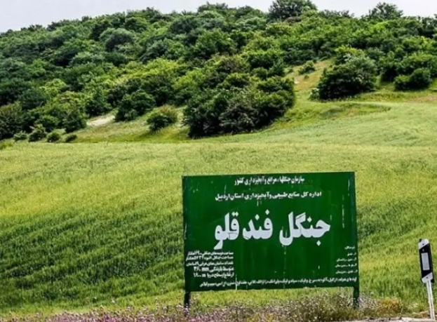 «جنگل فندقلو»، یکی از زیبا‌ترین مکان‌های طبیعت گردی استان اردبیل