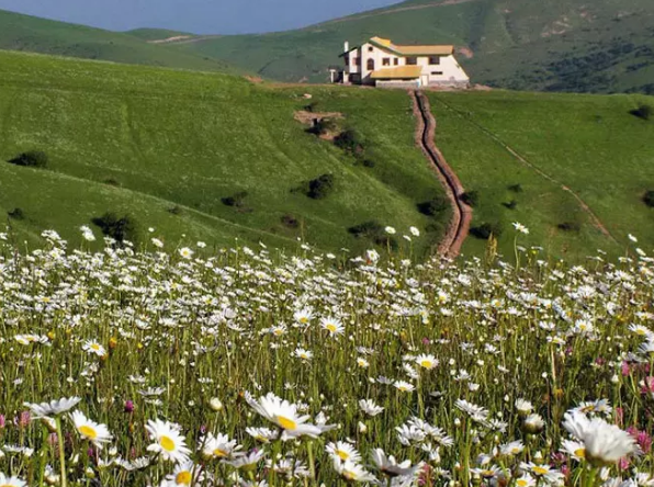 «جنگل فندقلو»، یکی از زیبا‌ترین مکان‌های طبیعت گردی استان اردبیل