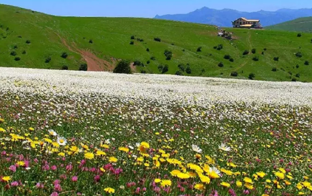 «جنگل فندقلو»، یکی از زیبا‌ترین مکان‌های طبیعت گردی استان اردبیل