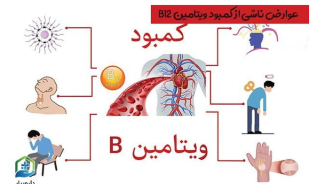 گیاهخواران نگران کمبود این ویتامین و اختلال جذب باشند!