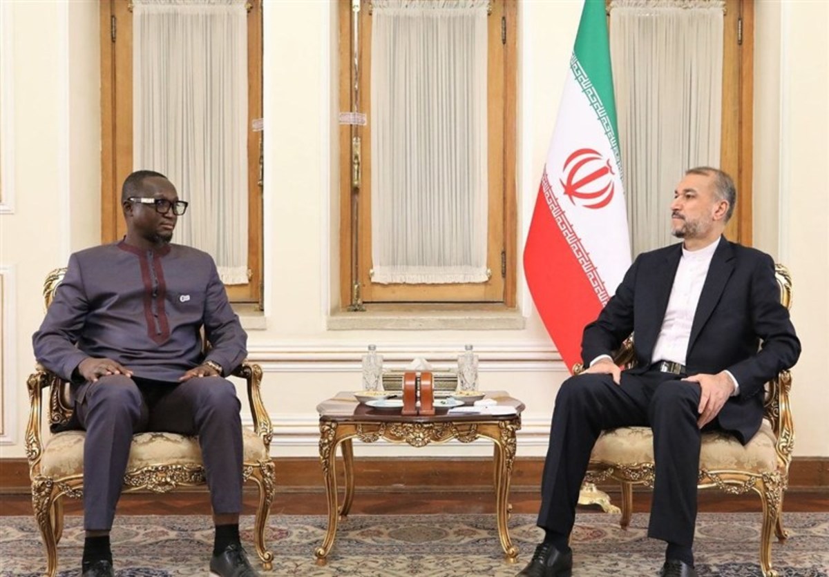 آمادگی ایران برای توسعه مناسبات با آفریقای مرکزی