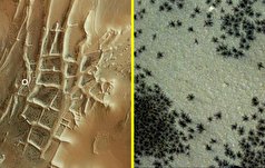 ماجرای عنکبوت‌های غول‌پیکر مریخ