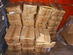 کشف و ضبط ۱۲۰۰ قلم لوازم آرایشی و بهداشتی غیرمجاز در کاشان