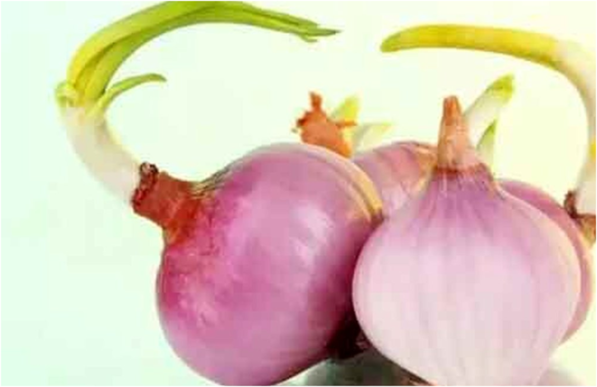 طریقه صحیح مصرف جوانه سبز پیاز