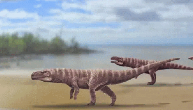 فسیل یک هیولای تاریخی با دوپا که ترکیبی از دایناسور و کروکدیل بوده!