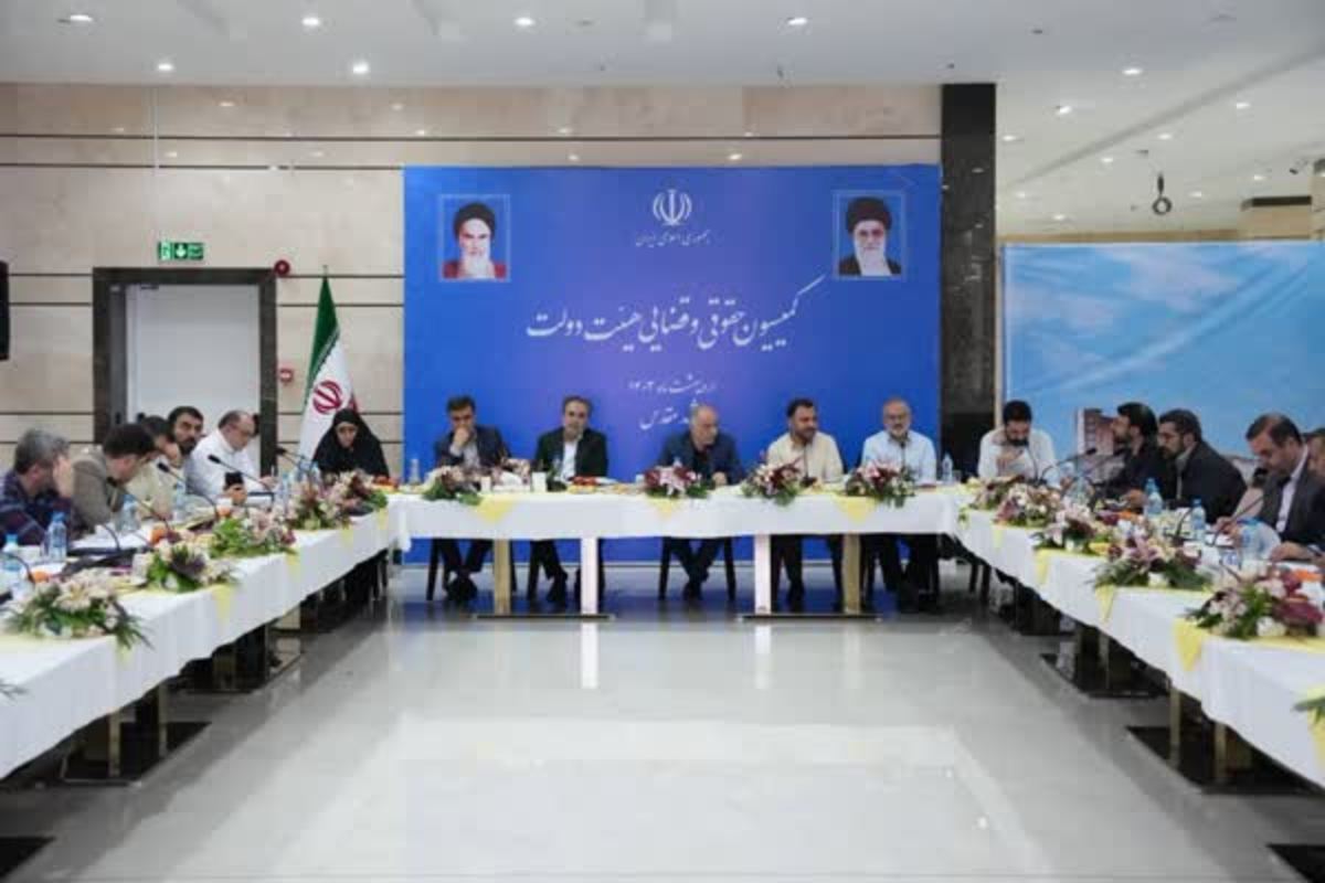 تصویب «لایحه حفاظت از داده‌های شخصی» در کمیسیون حقوقی دولت