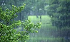 بارندگی‌ها در کهگیلویه چه خساراتی داشت؟