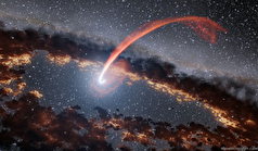 نزدیکی ستاره و سیاهچاله چه اتفاقی را رقم میزند؟