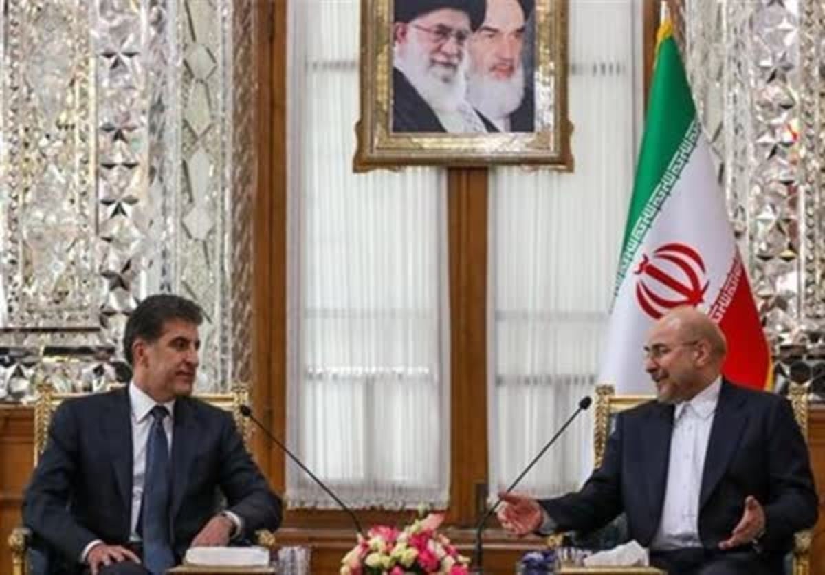 رئیس اقلیم کردستان عراق با رئیس مجلس دیدار کرد