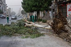 وقوع ۶۷ مورد حادثه در پی توفان سبزوار
