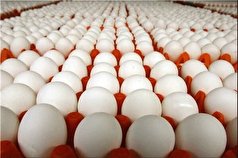 ایران به ۹ کشور منطقه تخم‌مرغ صادر می‌کند