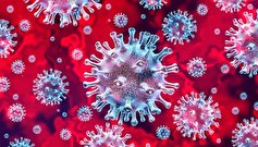 درک چگونگی انتشار ویروس‌های خاص در هوا