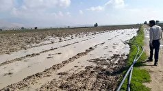 بارندگی سیل آسا با کشاورزان باشتی چه کرد؟
