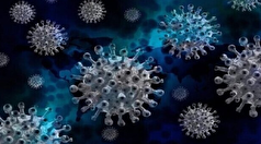 رسیدن دانشمندان به درک چگونگی انتشار ویروس‌های خاص