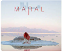 فیلم کوتاه «مارال» روایتی درمورد کودک همسری