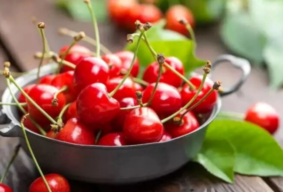 فواید دم گیلاس که از آن غافل شده بودید!