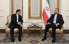 تأکید امیرعبداللهیان بر تسریع در اجرای توافقات روسای جمهور ایران و تاجیکستان