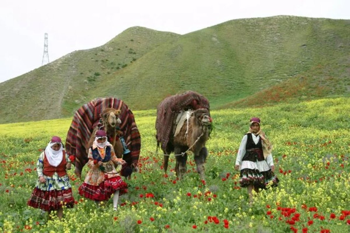 آغاز فعالیت ستاد ملی روز روستا و عشایر ۱۴۰۳