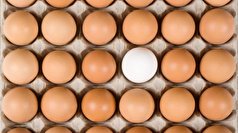 برخلاف تصورات تخم مرغ قهوه‌ای از تخم مرغ سفید مقوی‌تر و سالم‌تر نیست!