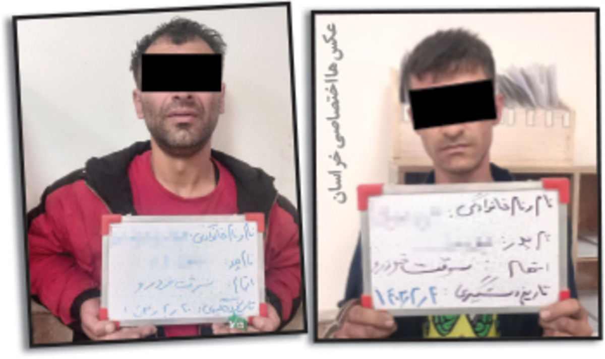 اعتراف زندانی بندباز به ۳۴ فقره سرقت! ظن پلیس دزدان خودرو را گرفتار کرد