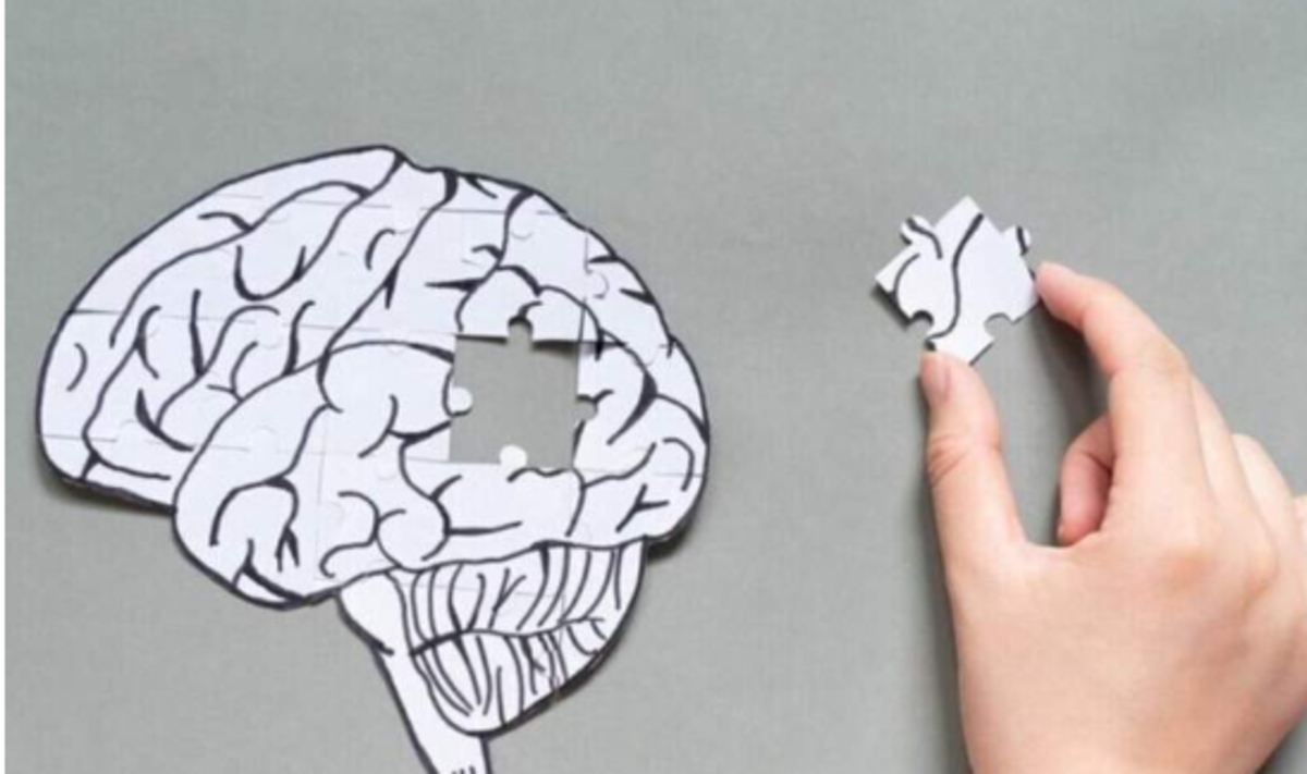 فرم ژنتیکی مشخص منشا بروز بیماری آلزایمر!