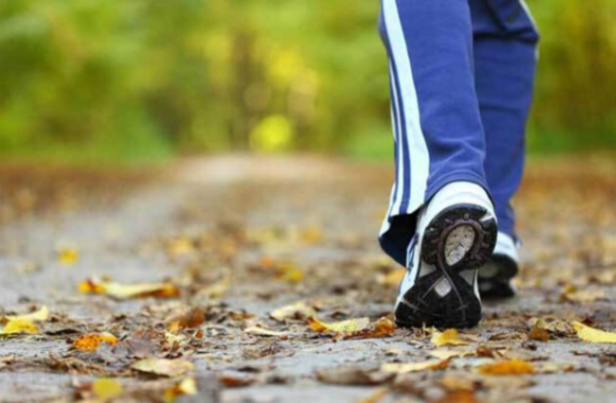 تیروئید چه نقشی در بدن دارد؟