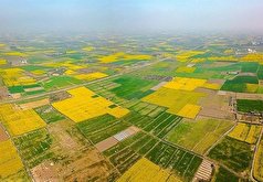 تغییر کاربری ۵۳۹ هکتار زمین در خوزستان به نفع نهضت ملی مسکن