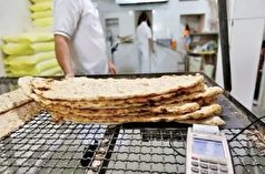 ۱۵ واحد متخلف نانوایی در نی‌ریز به تعزیرات معرفی شدند